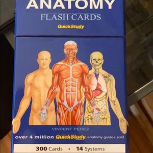 Other anatomy flash cards for quick study